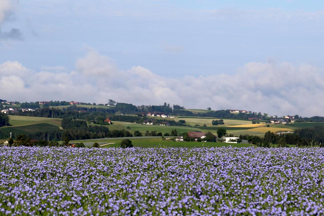 Ferienhof Neundlinger Niederwaldkirchen Екстер'єр фото